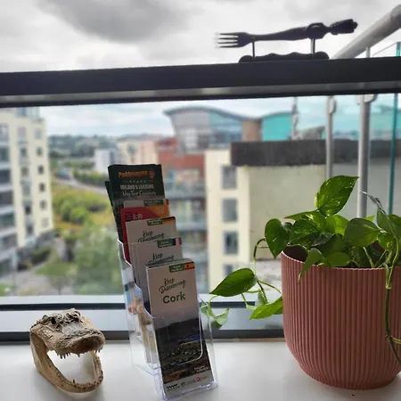 Panoramic Two-bedroom Penthouse *