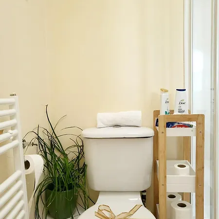 Апартаменты Panoramic Two-bedroom Penthouse *