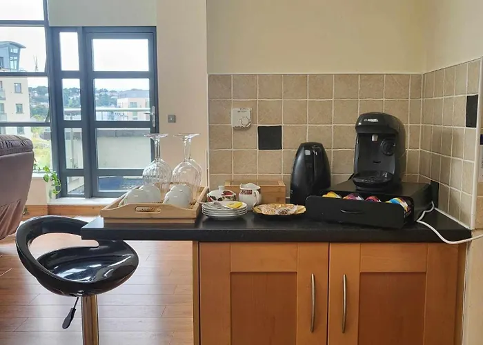 Panoramic Two-bedroom Penthouse